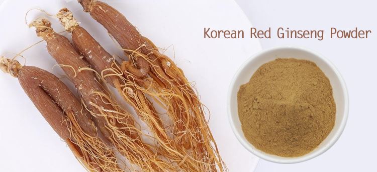 ginseng extract powder