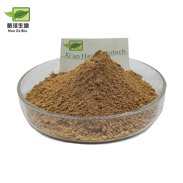 Bladderwrack Powder